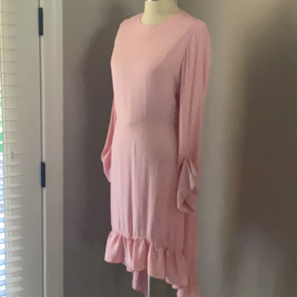 Zara Pink Pleated Ruffled Sheath Dress